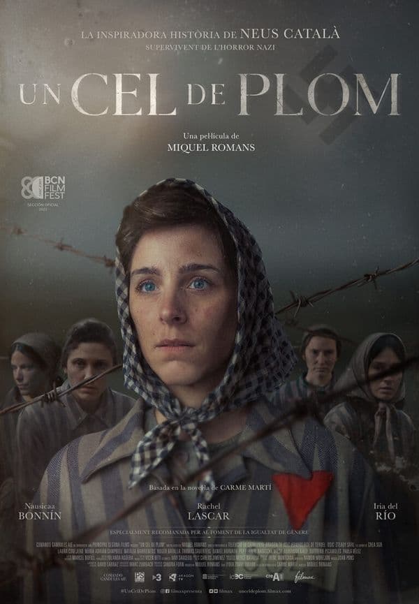 Cartell de Un cel de plom