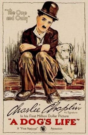 Cartell de Vida de perro