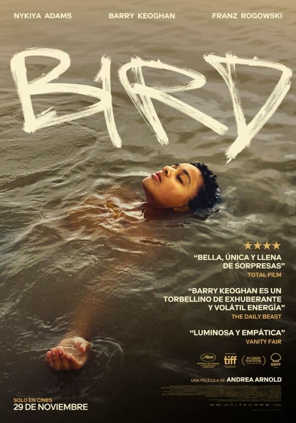 Cartell de Bird