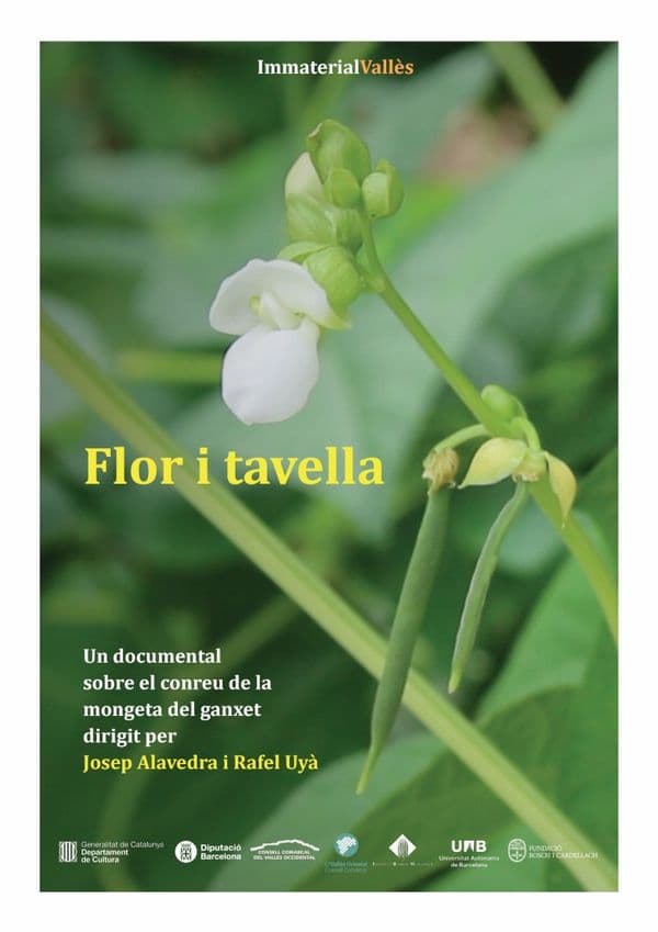Cartell de Flor i tavella