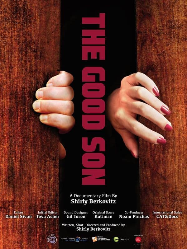 Cartell de The Good Son
